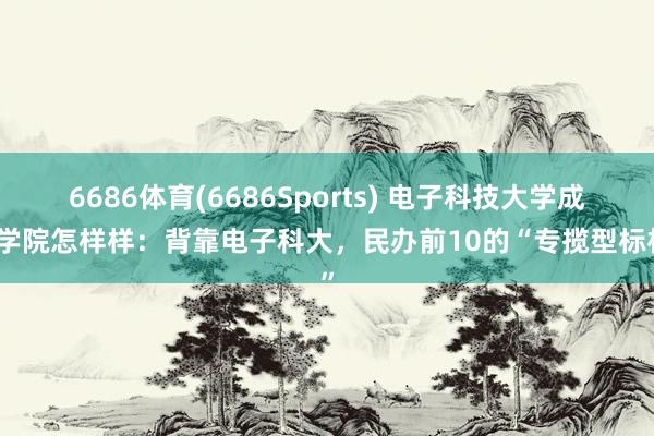 6686体育(6686Sports) 电子科技大学成齐学院怎样样：背靠电子科大，民办前10的“专揽型标杆”
