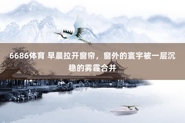 6686体育 早晨拉开窗帘，窗外的寰宇被一层沉稳的雾霾合并