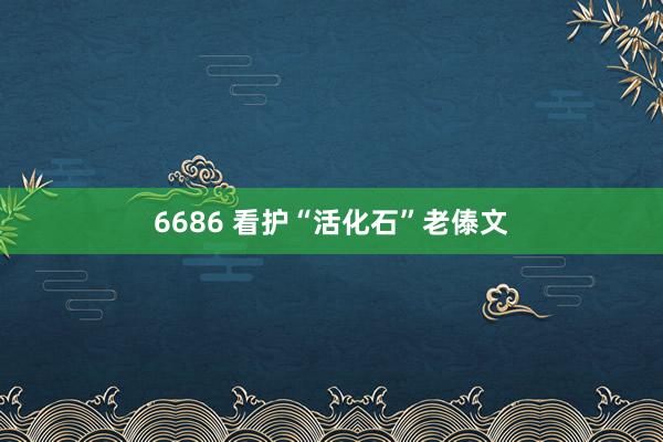 6686 看护“活化石”老傣文
