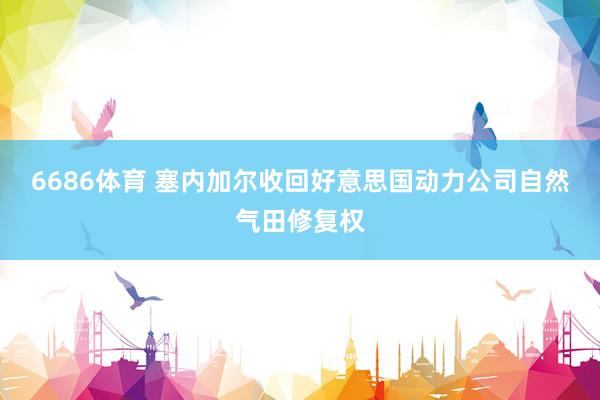 6686体育 塞内加尔收回好意思国动力公司自然气田修复权