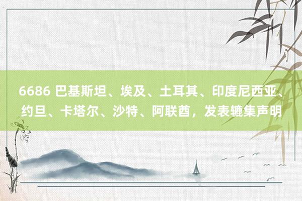 6686 巴基斯坦、埃及、土耳其、印度尼西亚、约旦、卡塔尔、沙特、阿联酋，发表辘集声明