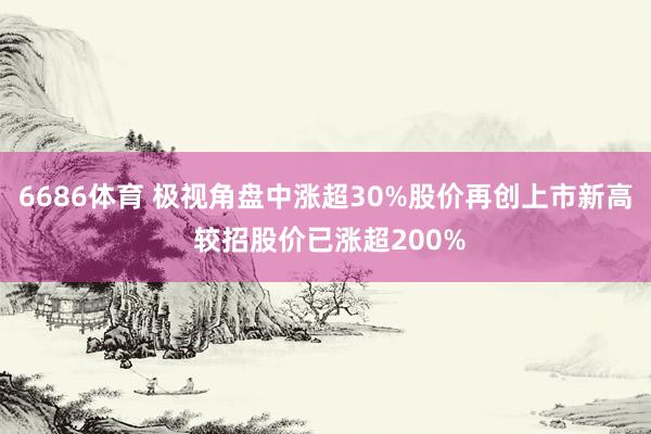 6686体育 极视角盘中涨超30%股价再创上市新高 较招股价已涨超200%