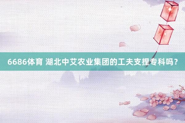 6686体育 湖北中艾农业集团的工夫支捏专科吗？