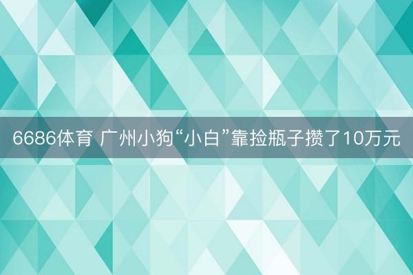 6686体育 广州小狗“小白”靠捡瓶子攒了10万元