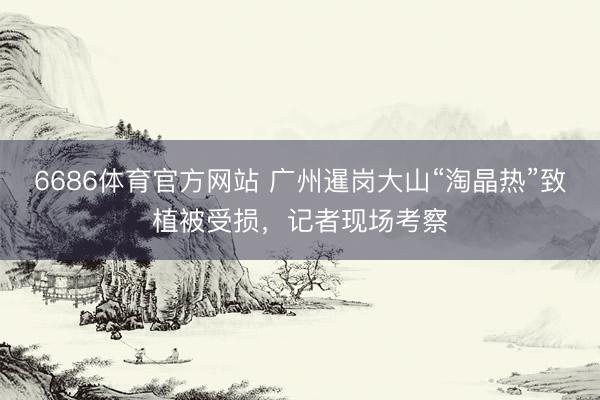 6686体育官方网站 广州暹岗大山“淘晶热”致植被受损，记者现场考察